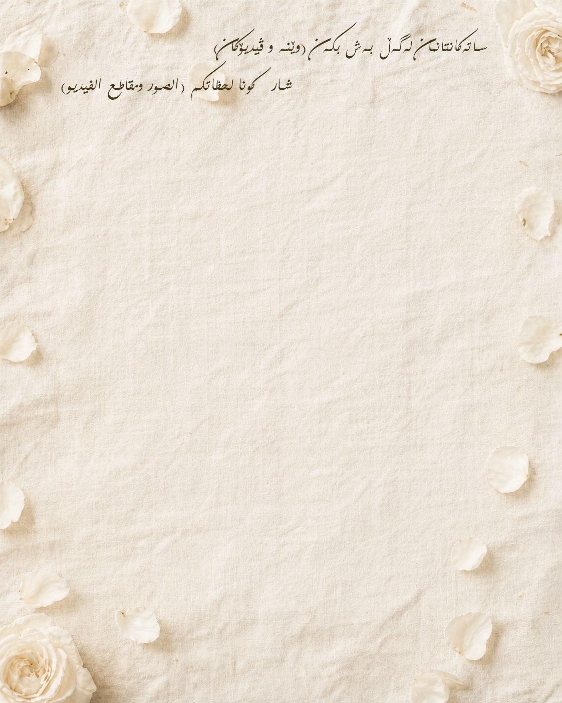 Share Background